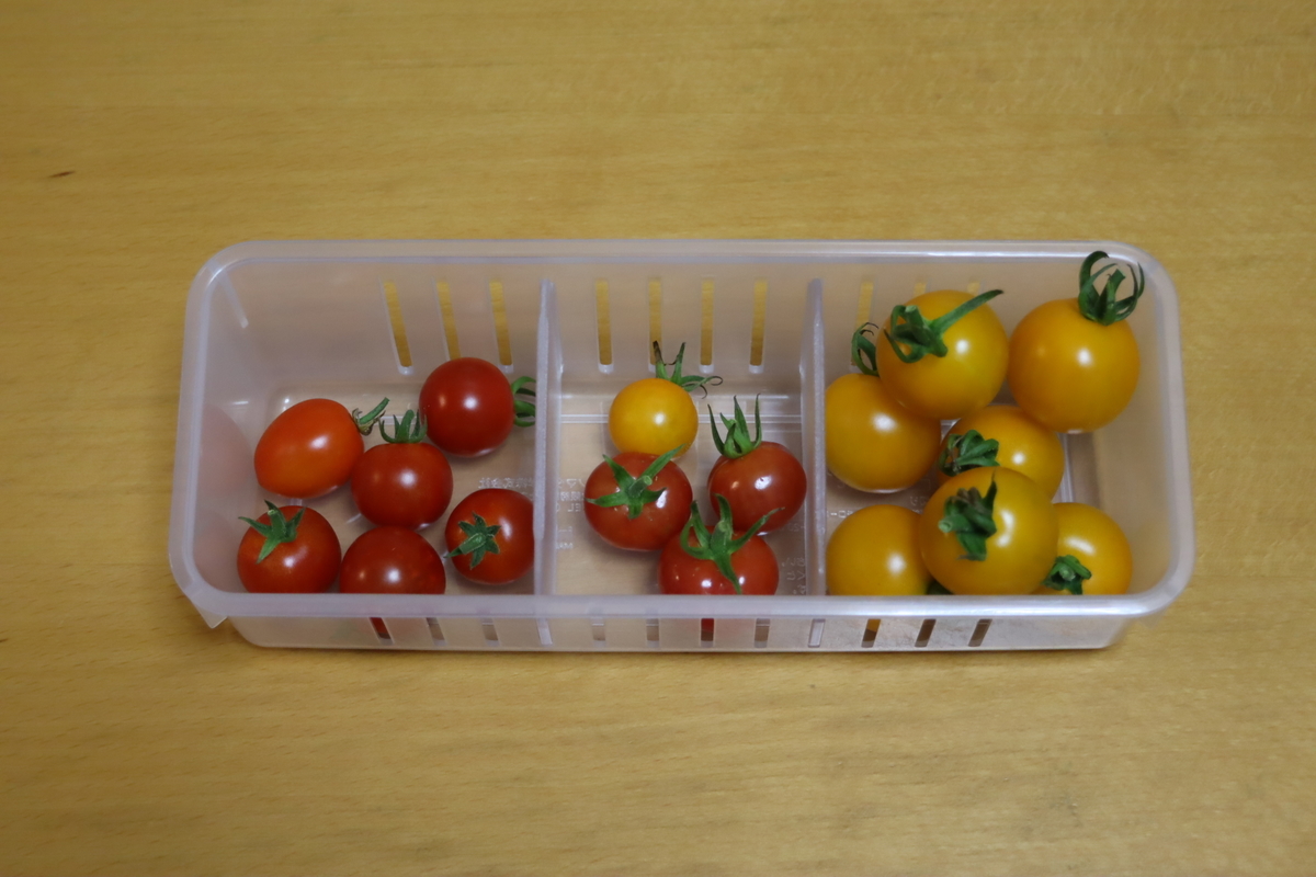 f:id:tomato_1:20210724034428j:plain