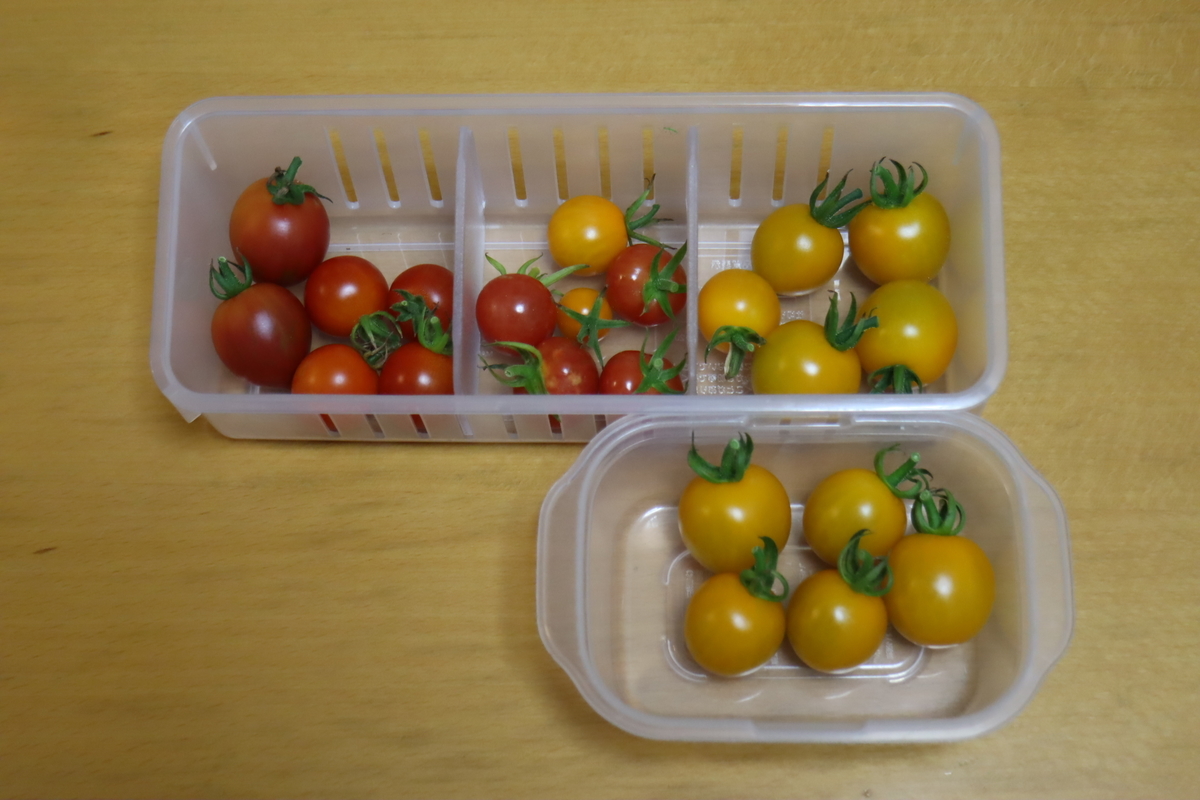 f:id:tomato_1:20210725040050j:plain
