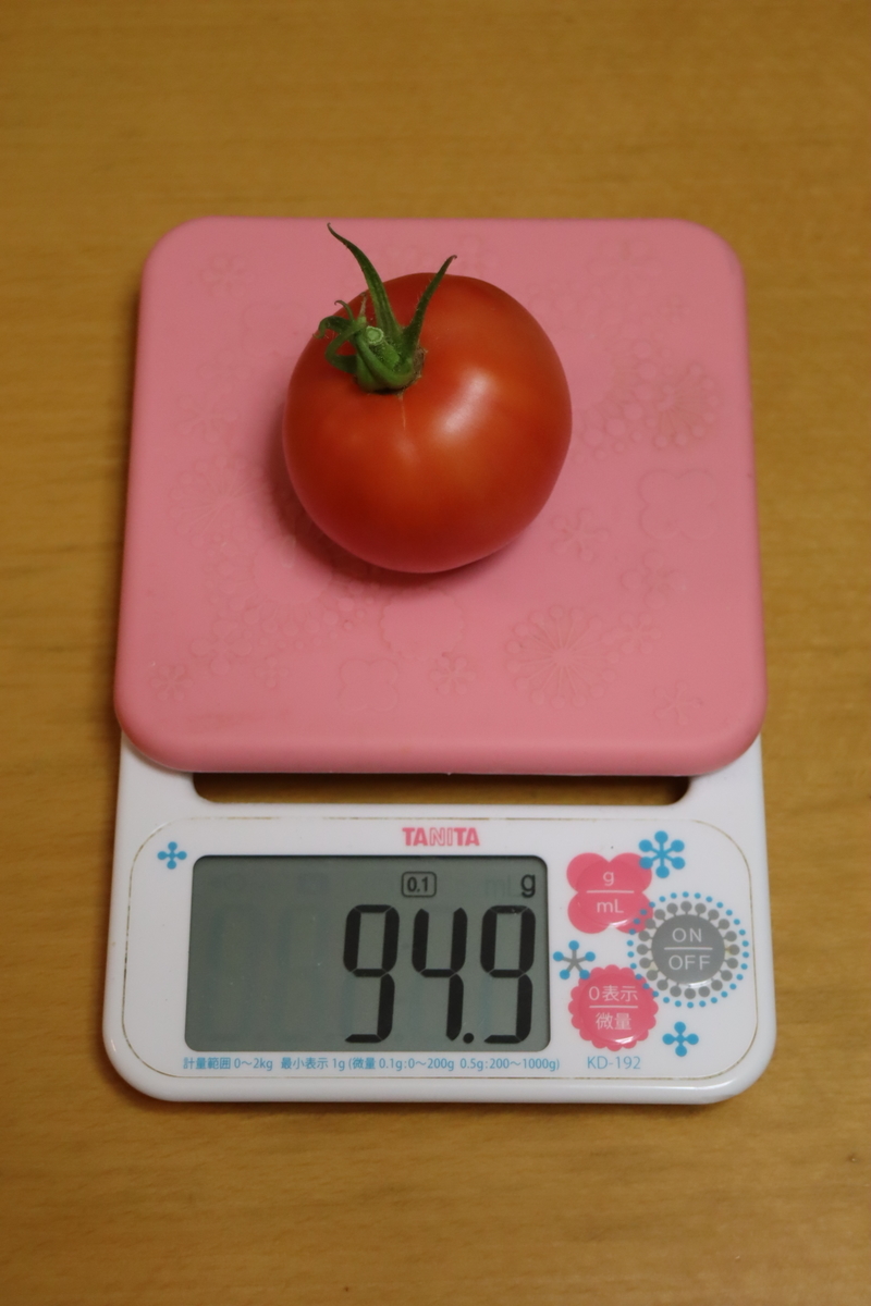 f:id:tomato_1:20210728040950j:plain