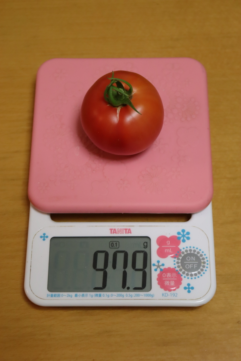f:id:tomato_1:20210728040959j:plain