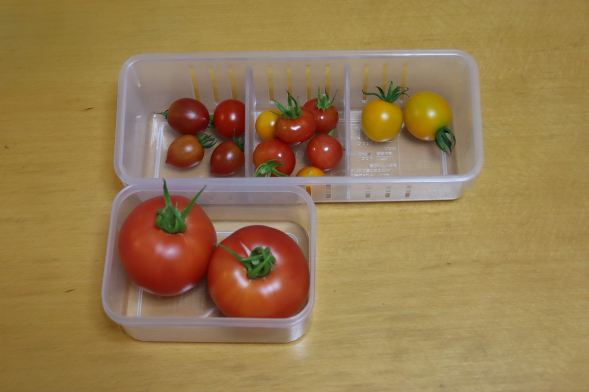 f:id:tomato_1:20210728041029j:plain