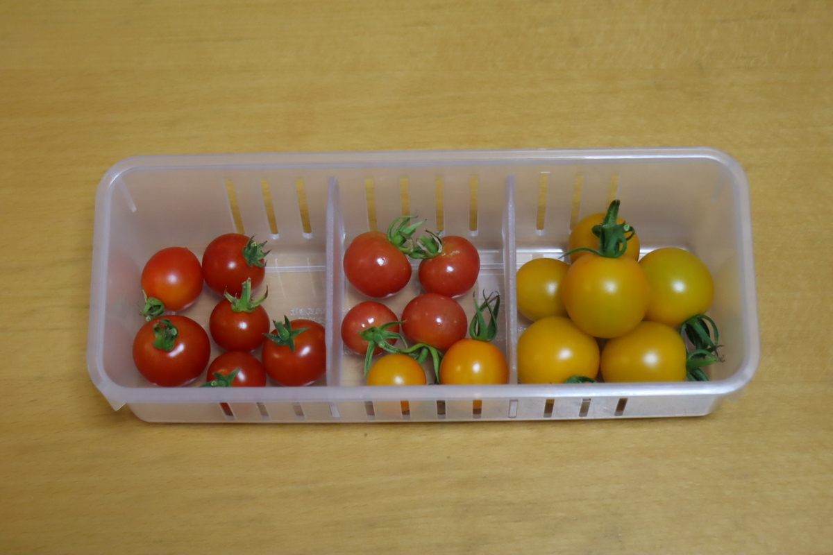 f:id:tomato_1:20210729041021j:plain
