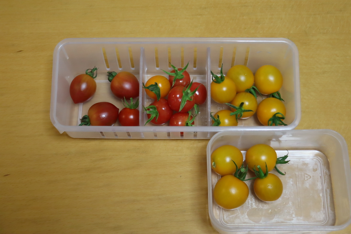 f:id:tomato_1:20210730035502j:plain