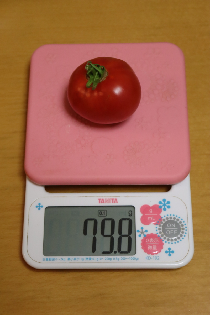 f:id:tomato_1:20210731005113j:plain