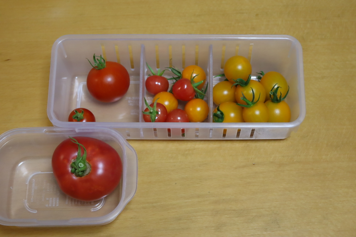 f:id:tomato_1:20210731005136j:plain