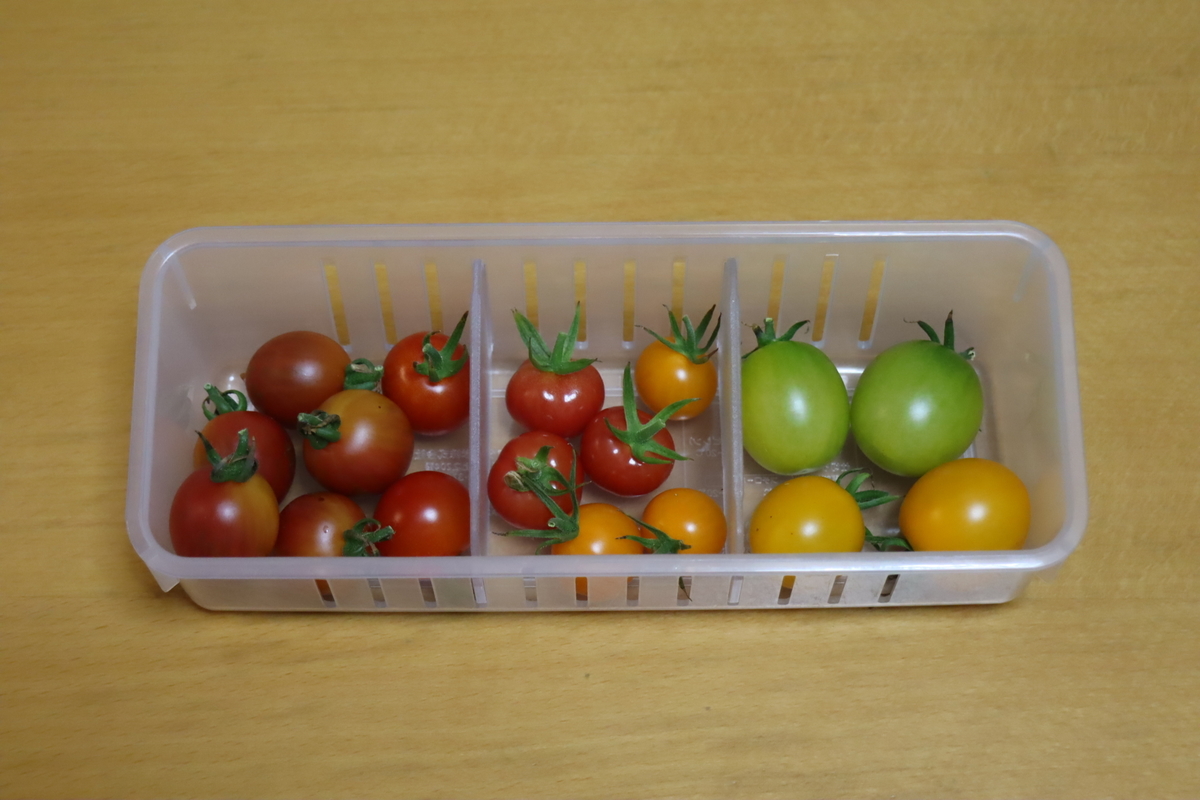 f:id:tomato_1:20210801041039j:plain