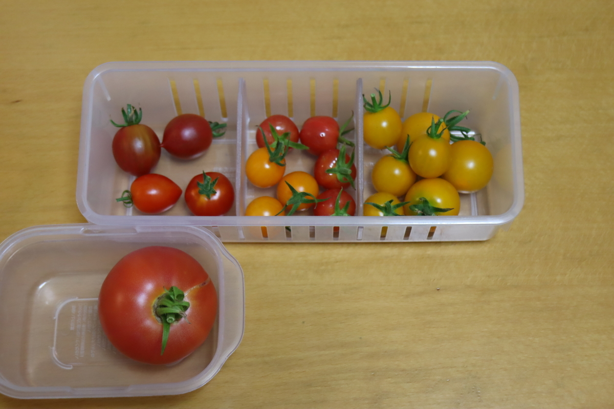 f:id:tomato_1:20210802024603j:plain