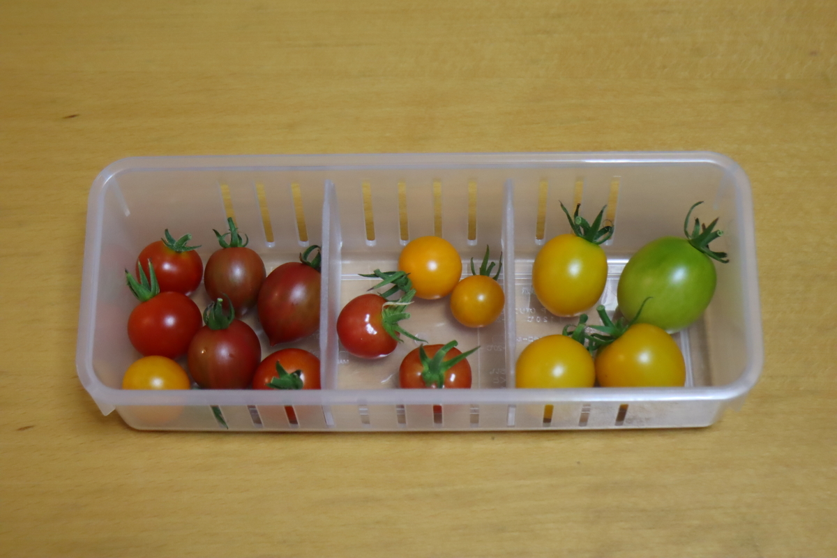 f:id:tomato_1:20210803041659j:plain