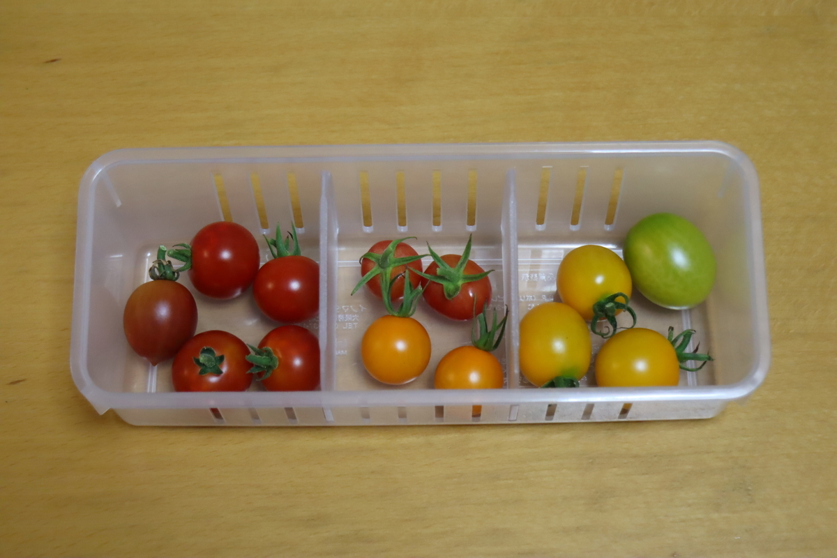 f:id:tomato_1:20210805040058j:plain