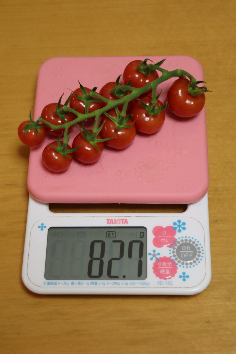 f:id:tomato_1:20210806033318j:plain