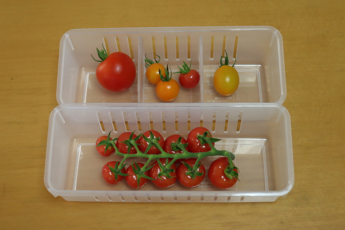 f:id:tomato_1:20210806033331j:plain