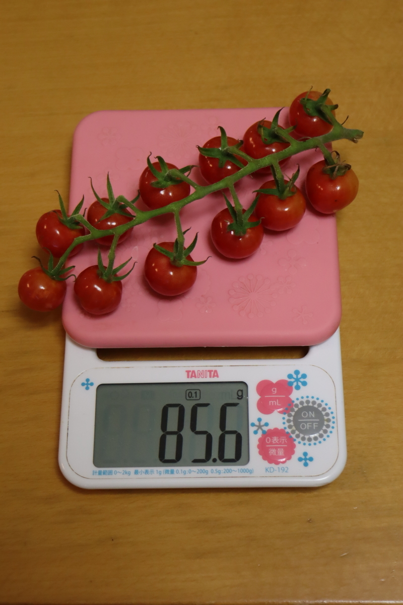 f:id:tomato_1:20210807035645j:plain