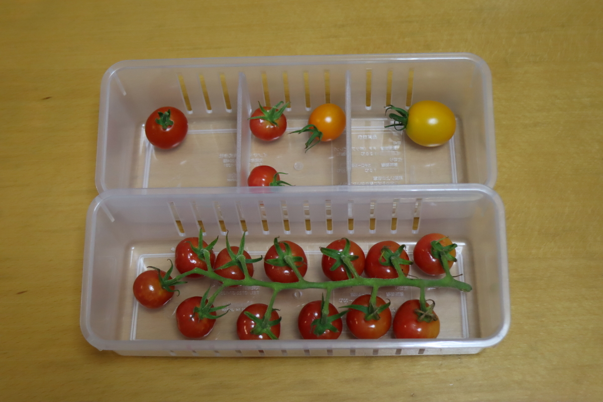 f:id:tomato_1:20210807035737j:plain