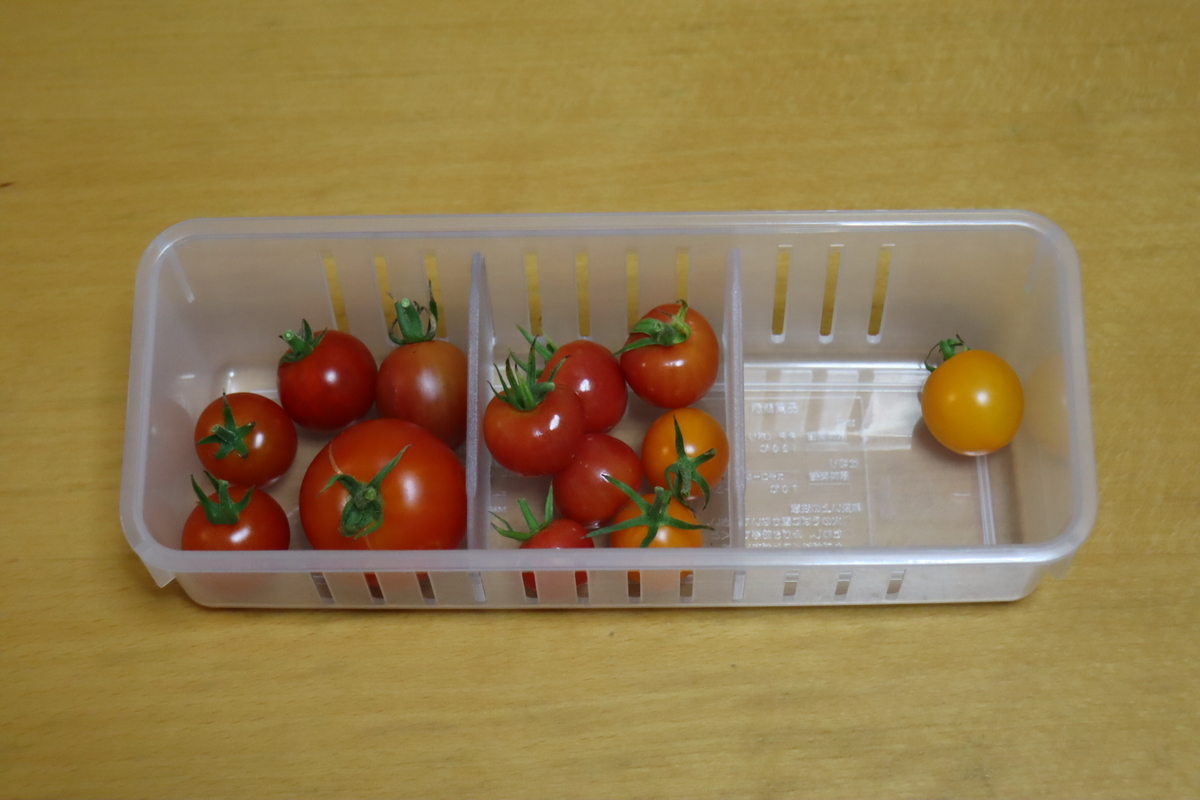 f:id:tomato_1:20210808001218j:plain
