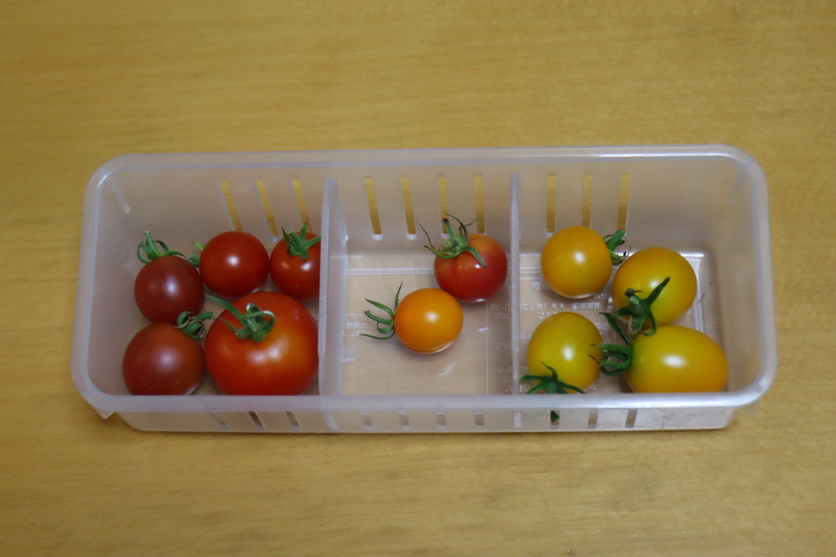 f:id:tomato_1:20210810041431j:plain