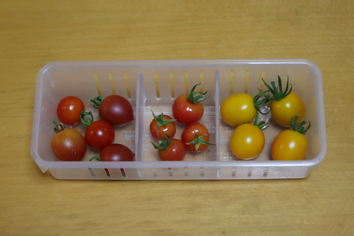 f:id:tomato_1:20210811035226j:plain