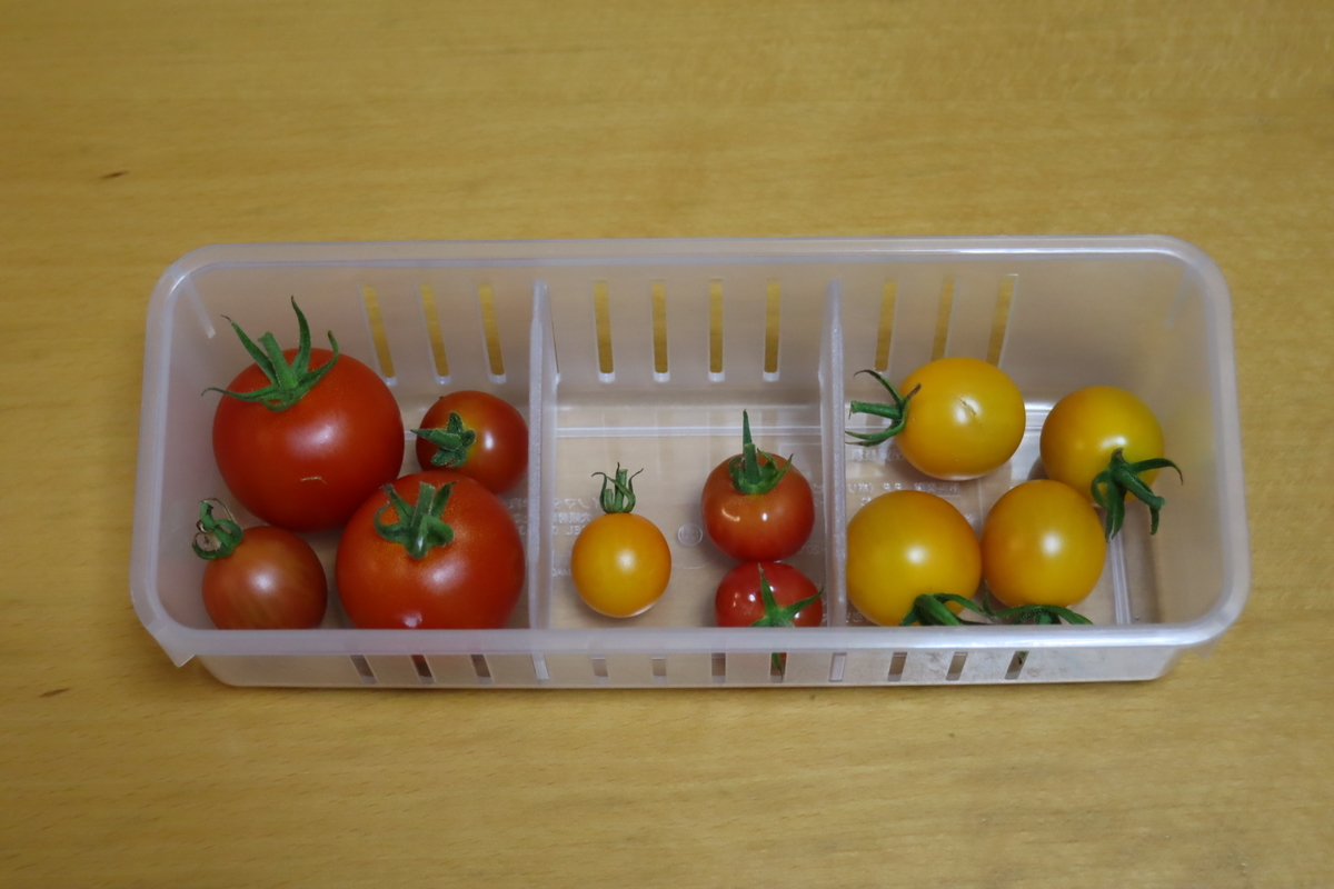 f:id:tomato_1:20210812032733j:plain