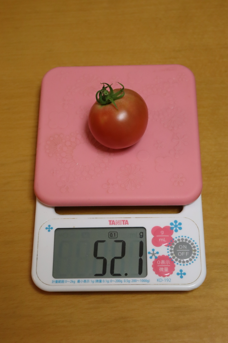 f:id:tomato_1:20210818040407j:plain