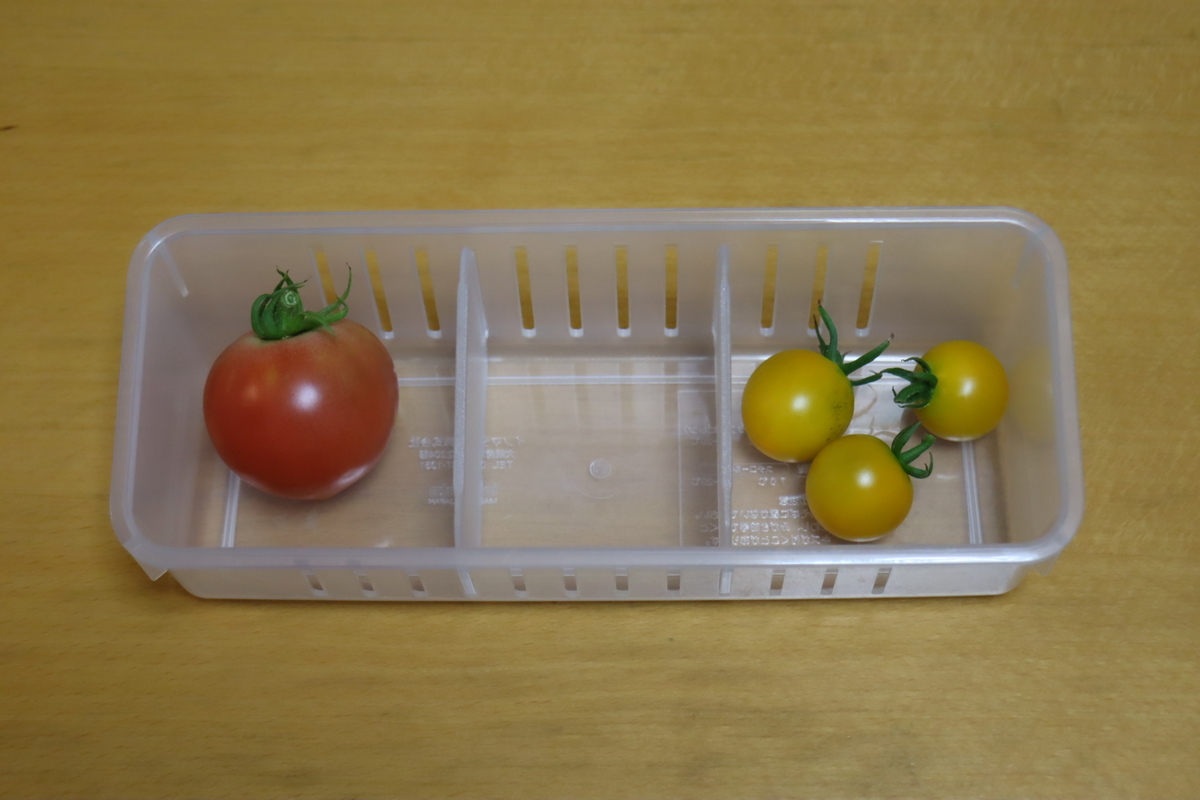 f:id:tomato_1:20210818040415j:plain