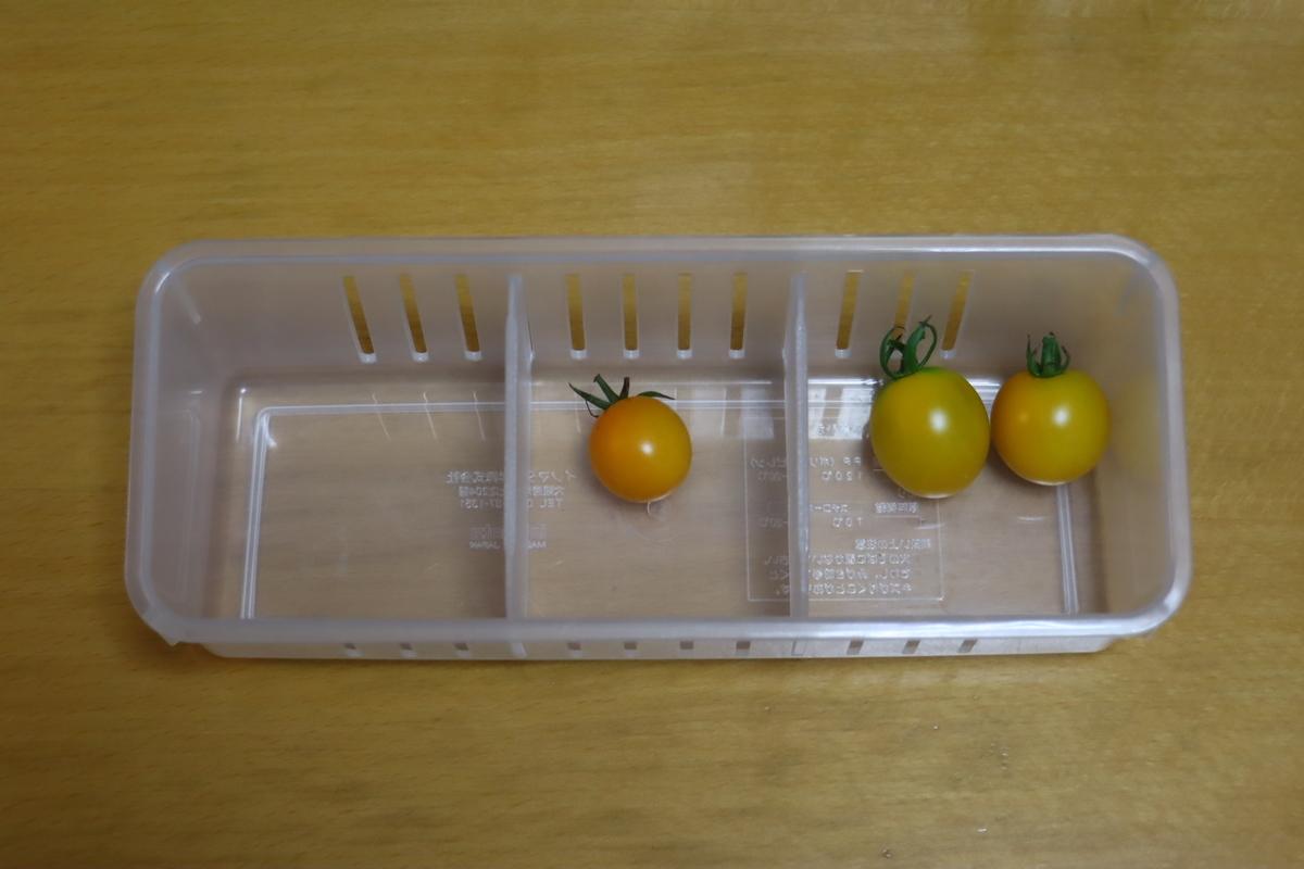 f:id:tomato_1:20210823035704j:plain