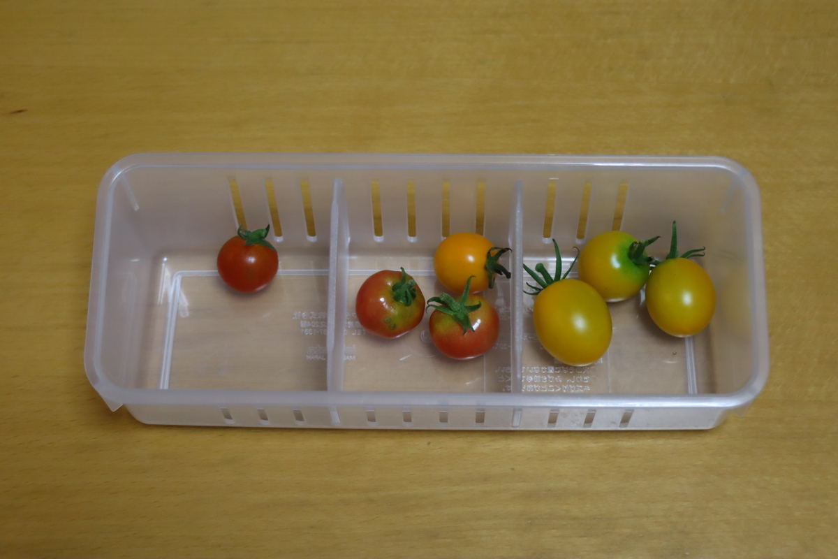 f:id:tomato_1:20210824035445j:plain