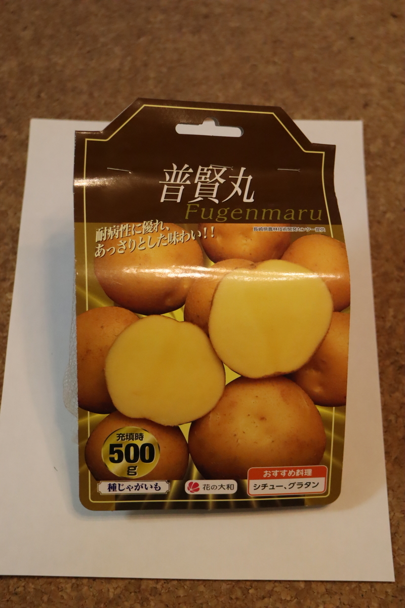f:id:tomato_1:20210830035326j:plain