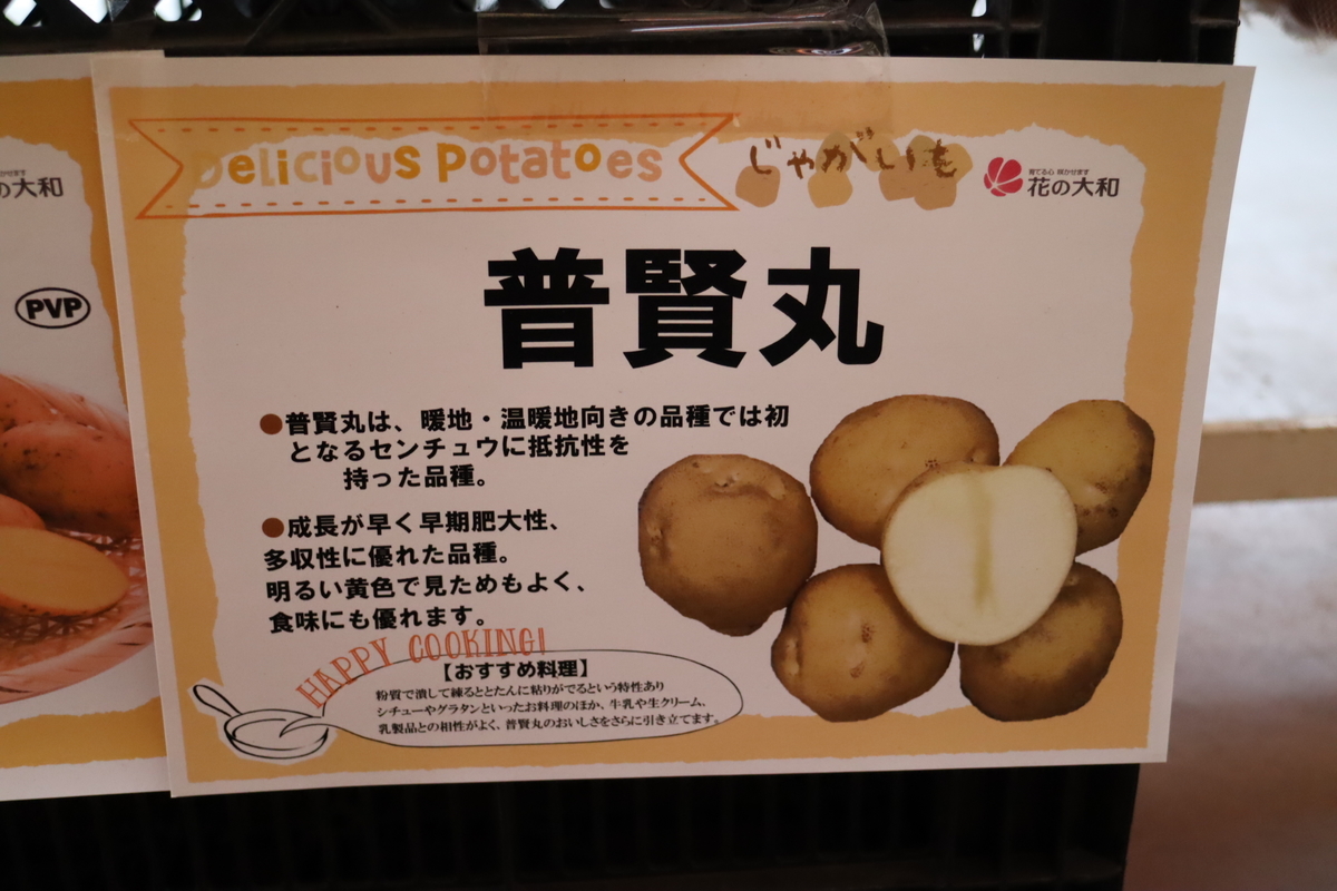 f:id:tomato_1:20210830035343j:plain