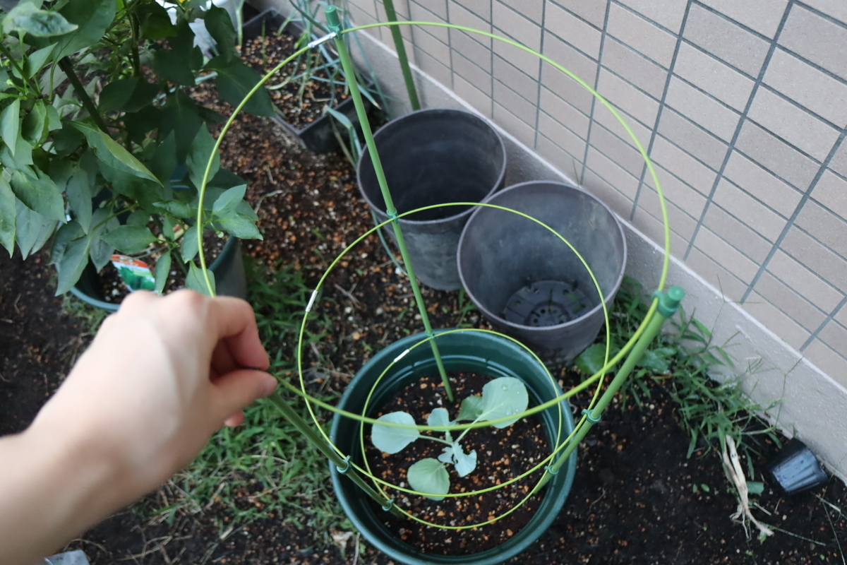 f:id:tomato_1:20210912035440j:plain