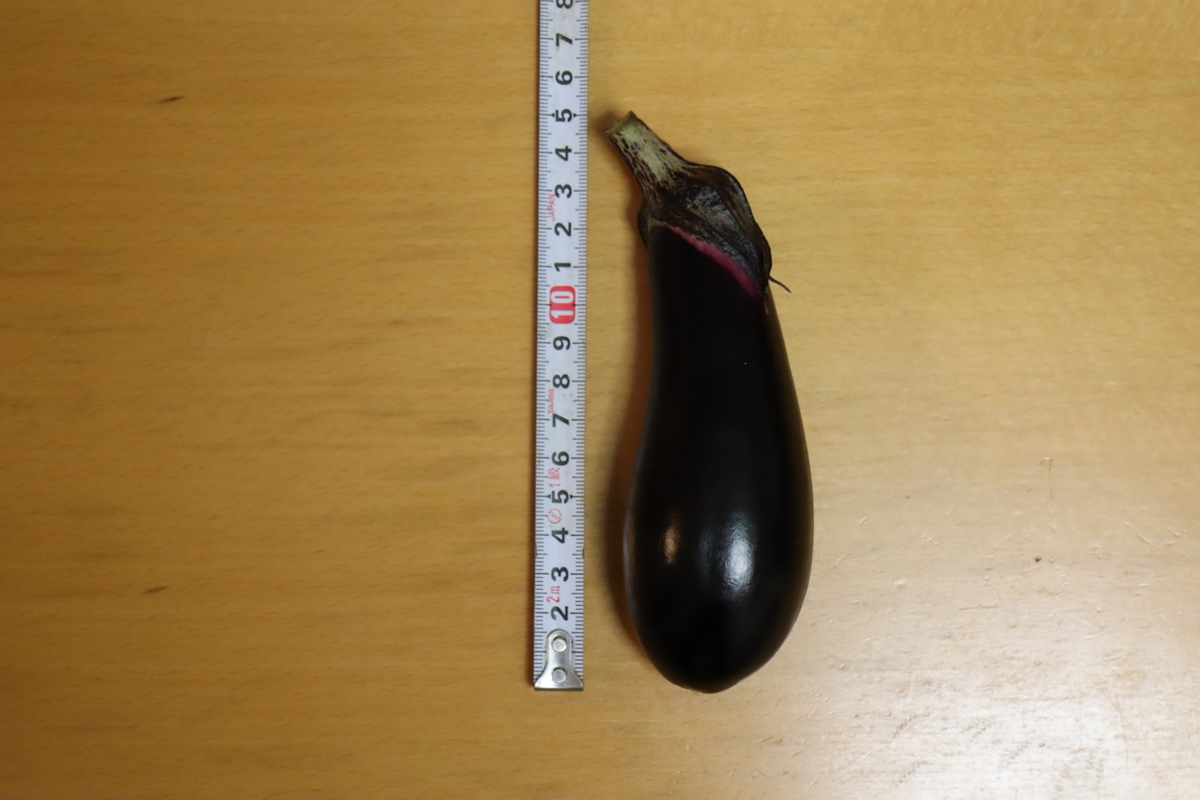 f:id:tomato_1:20210918035415j:plain