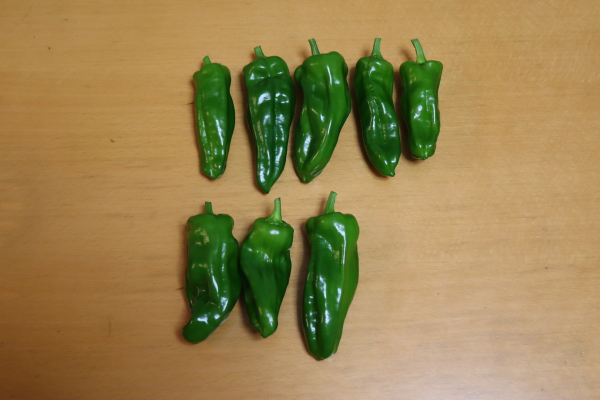 f:id:tomato_1:20210918035559j:plain