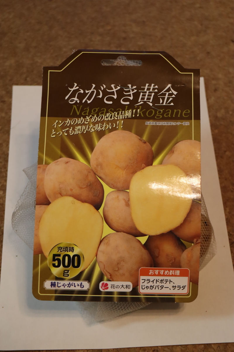 f:id:tomato_1:20210919030314j:plain