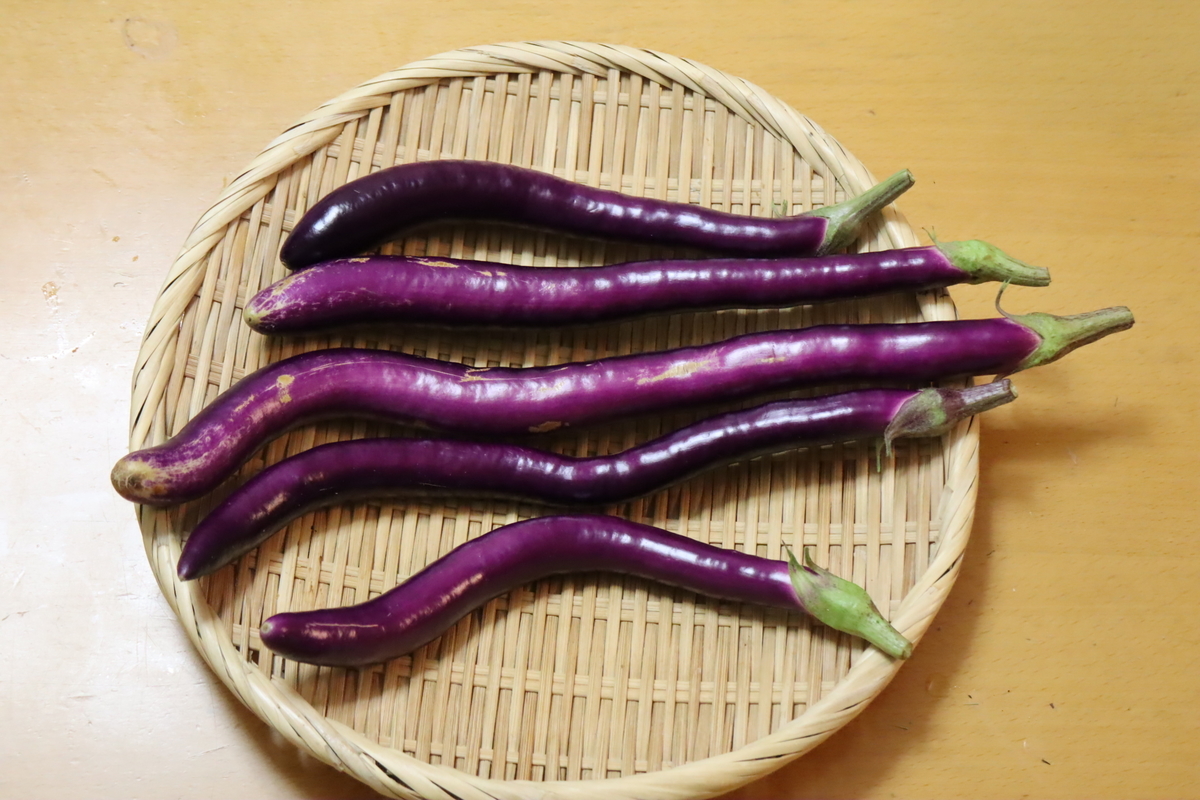 f:id:tomato_1:20210928035942j:plain