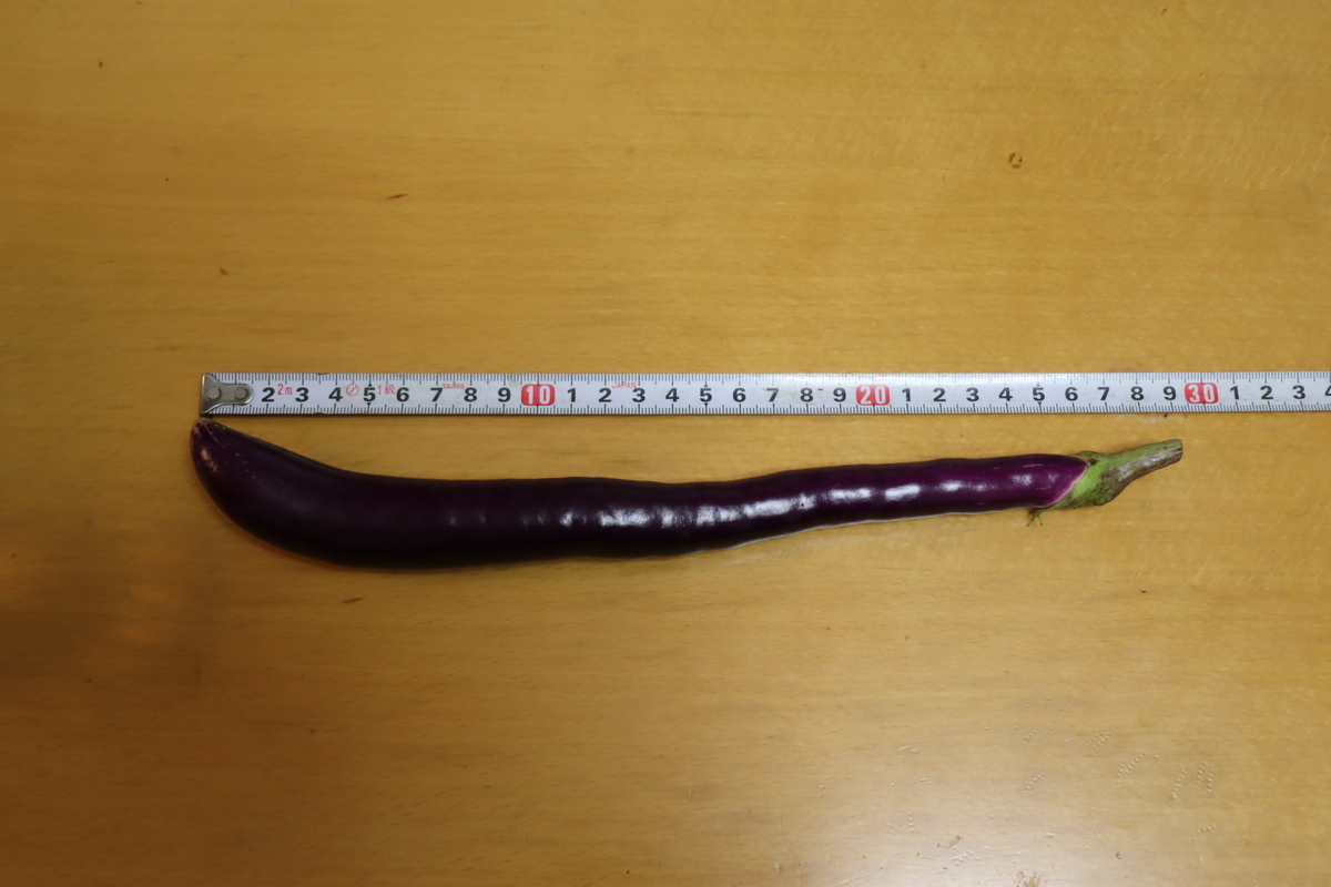 f:id:tomato_1:20210928040204j:plain