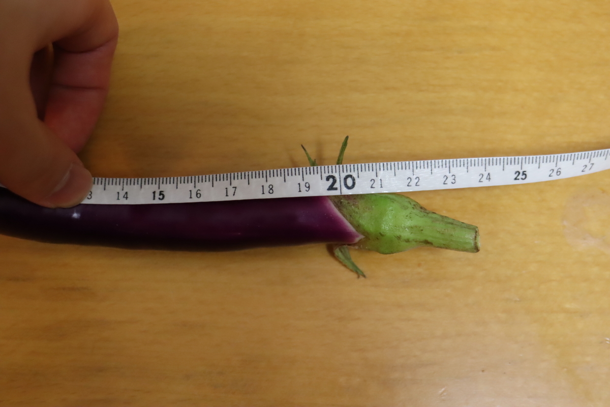 f:id:tomato_1:20210928040255j:plain