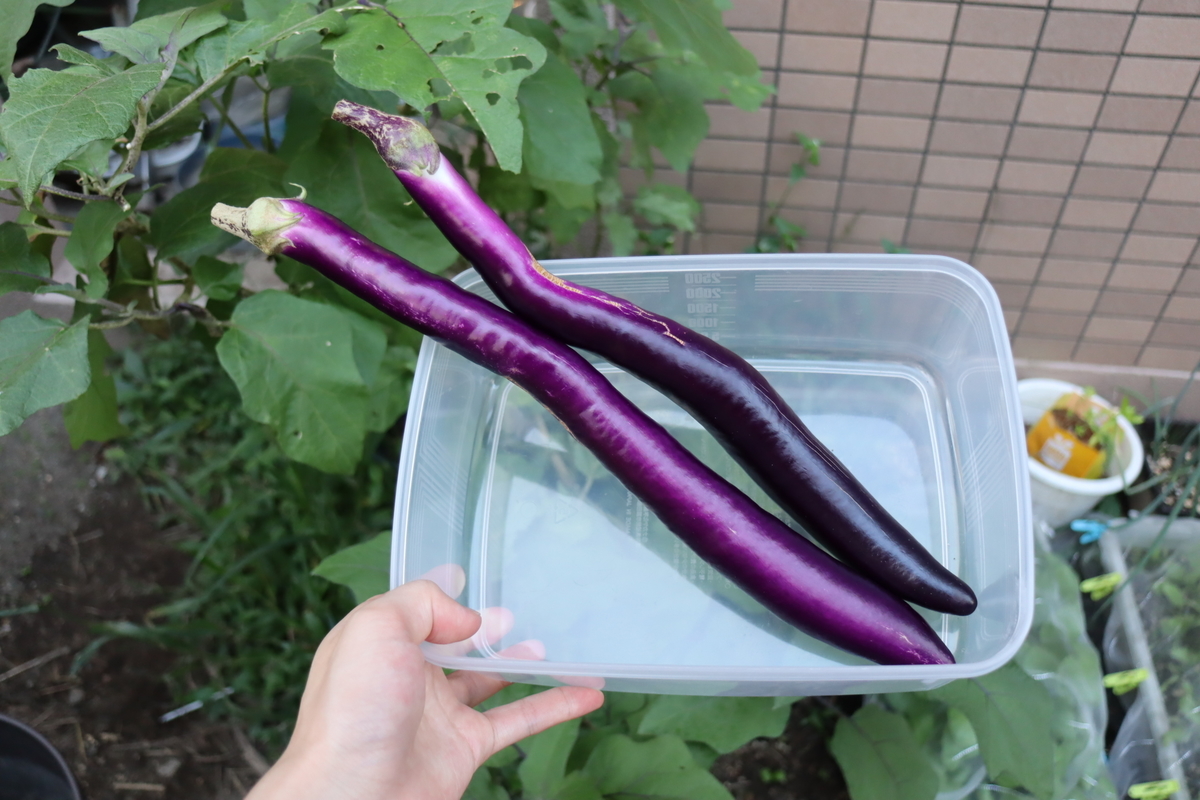 f:id:tomato_1:20211011035233j:plain
