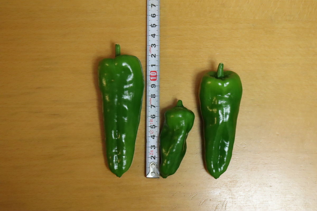 f:id:tomato_1:20211018034711j:plain