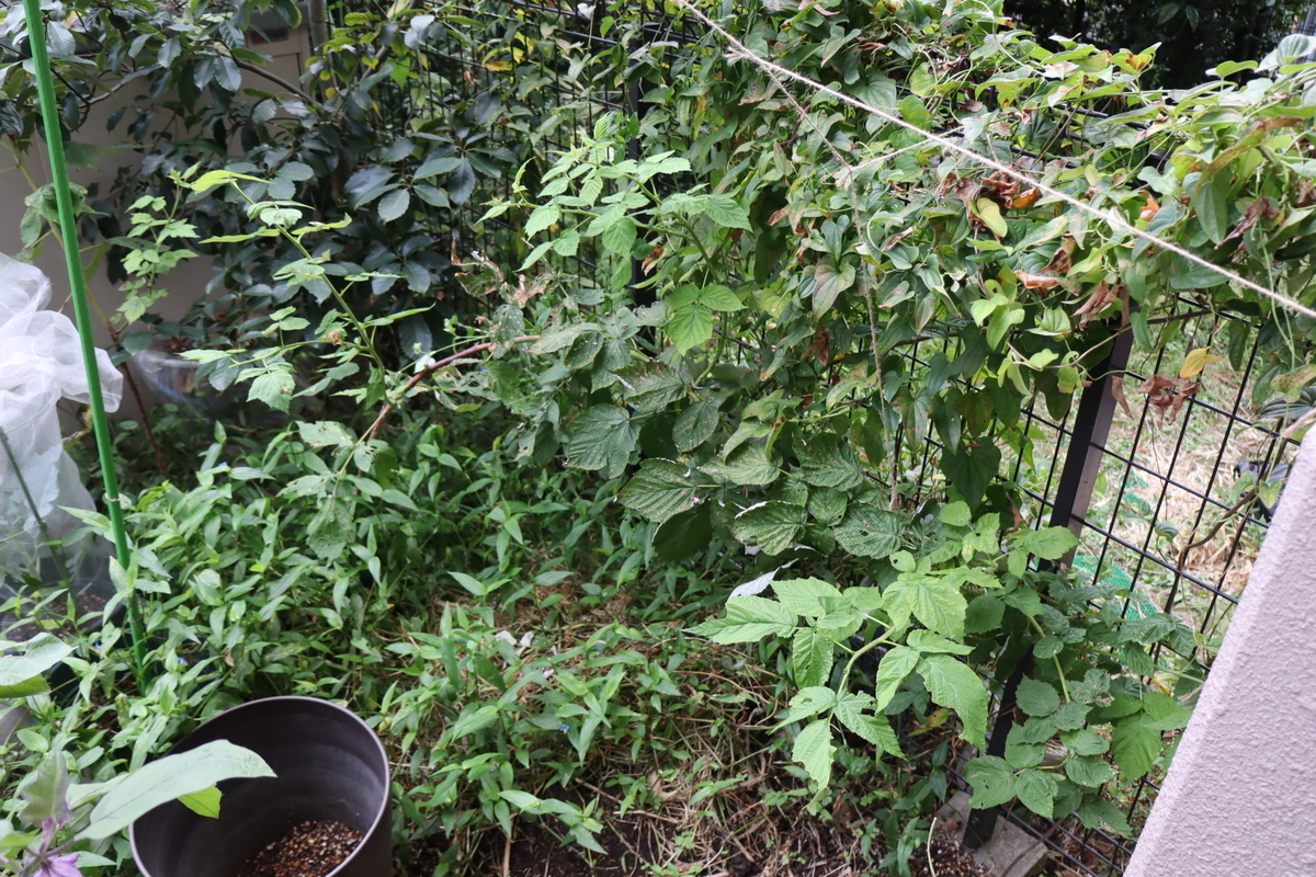 f:id:tomato_1:20211019034713j:plain