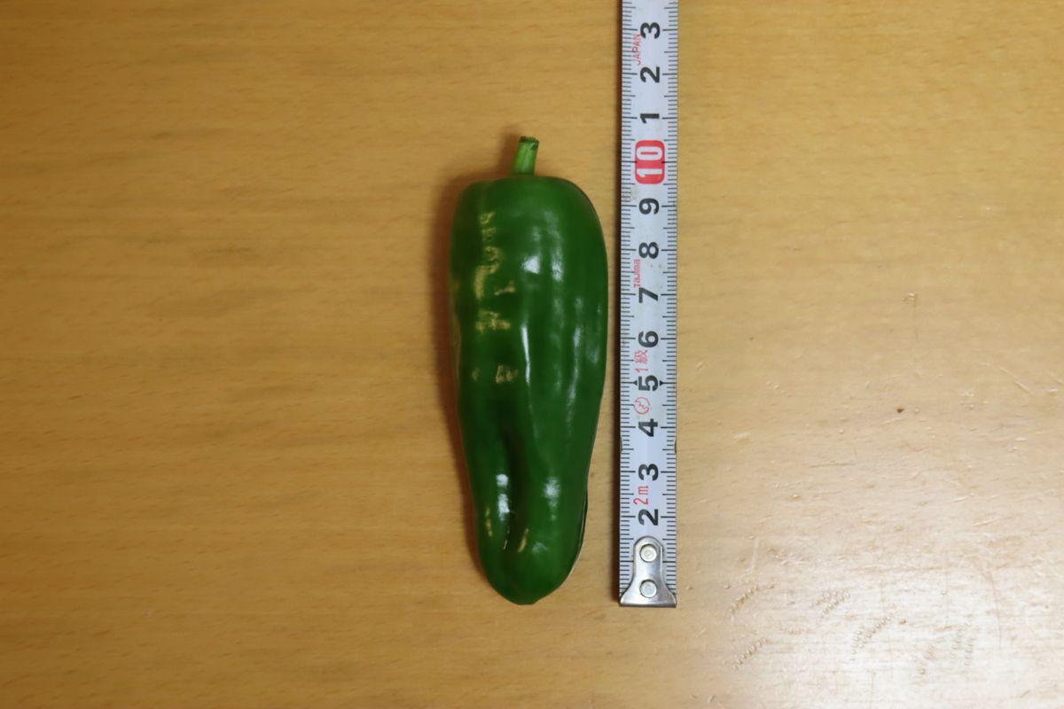 f:id:tomato_1:20211108035013j:plain