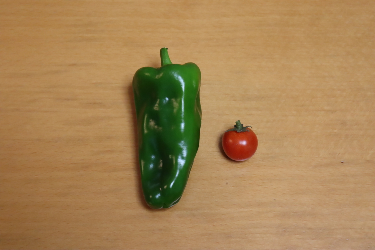 f:id:tomato_1:20211109035635j:plain