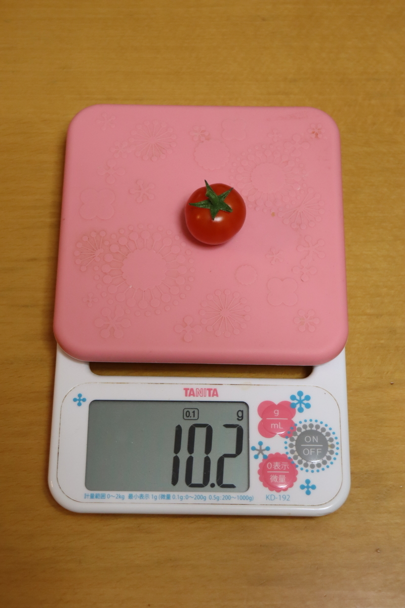 f:id:tomato_1:20211117034444j:plain