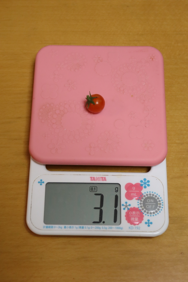 f:id:tomato_1:20211117034453j:plain