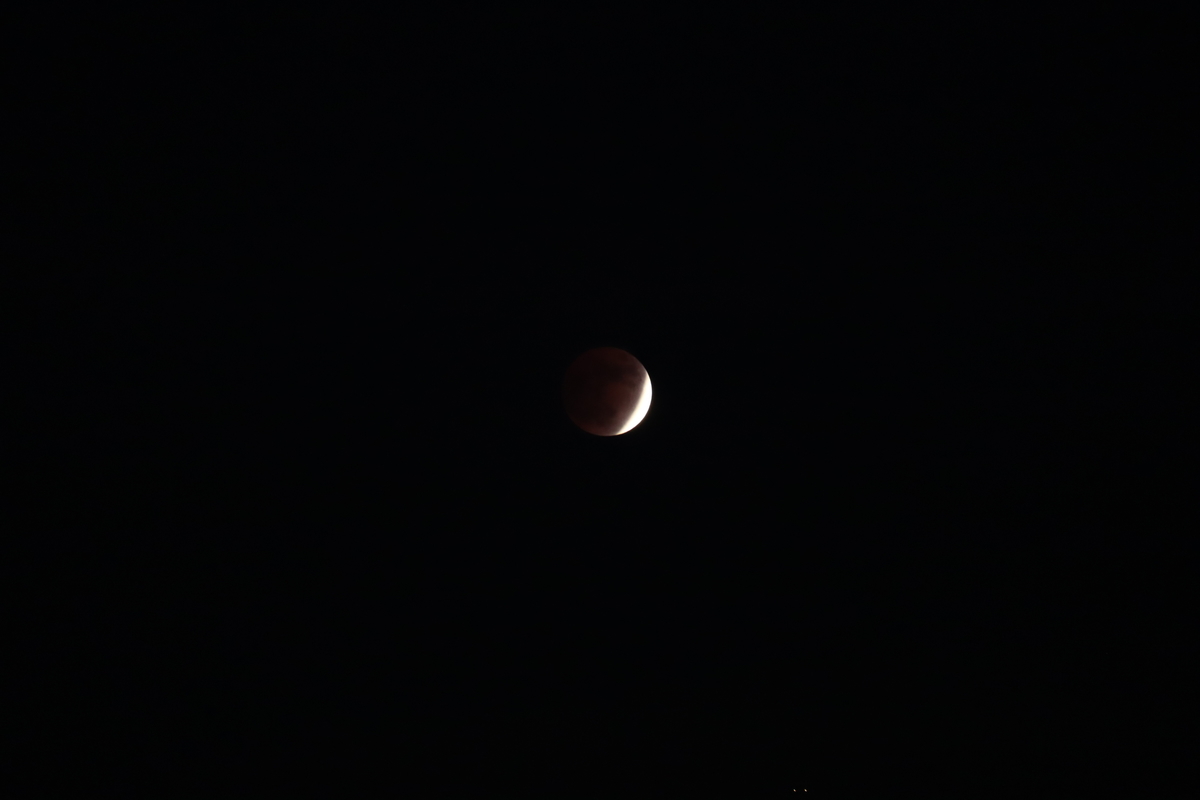 f:id:tomato_1:20211120034607j:plain