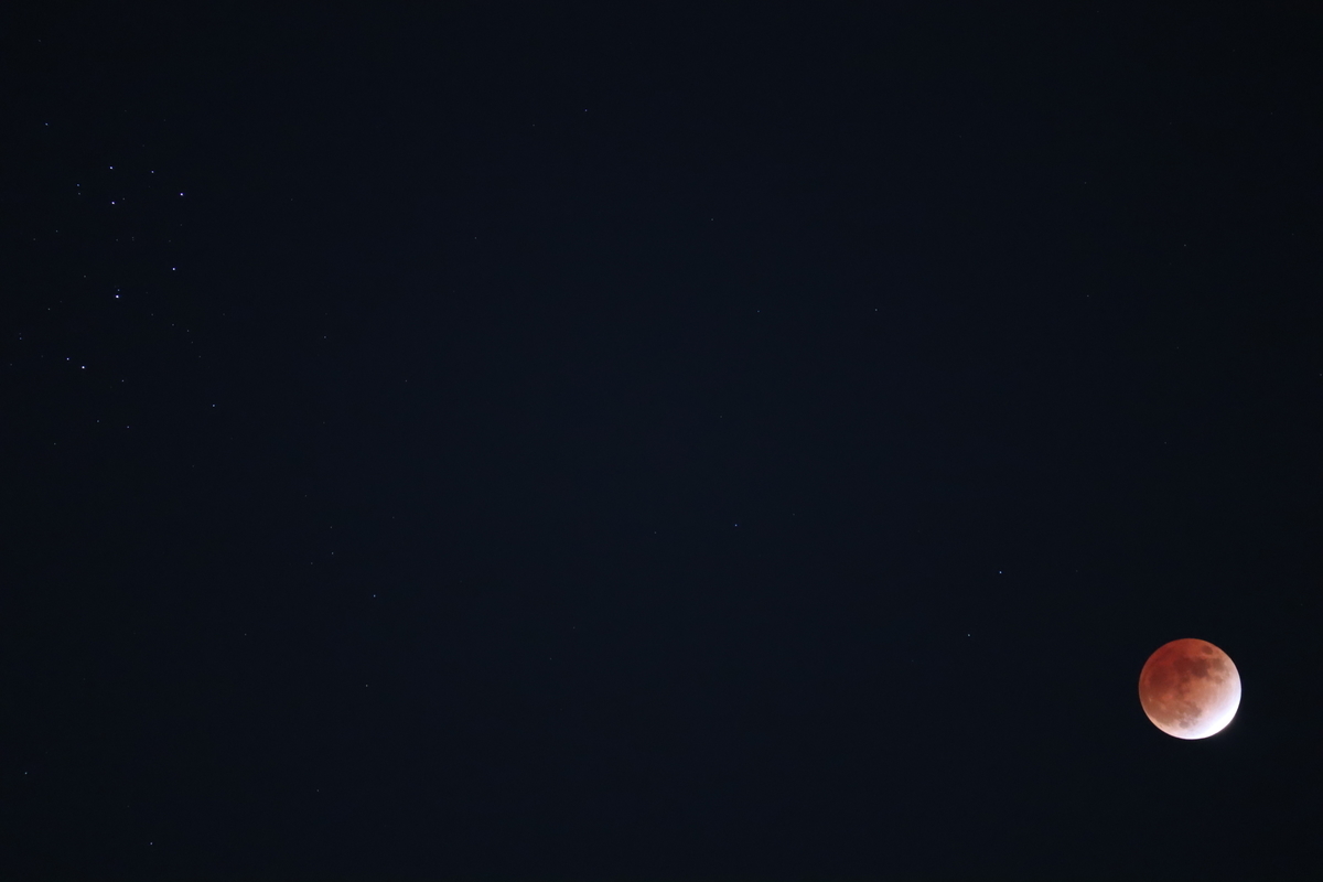 f:id:tomato_1:20211120035333j:plain