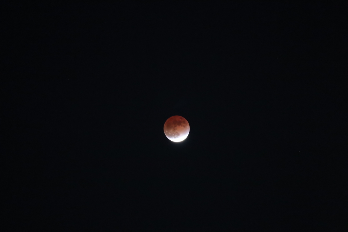 f:id:tomato_1:20211120035542j:plain