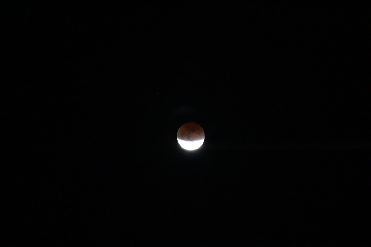 f:id:tomato_1:20211120040123j:plain