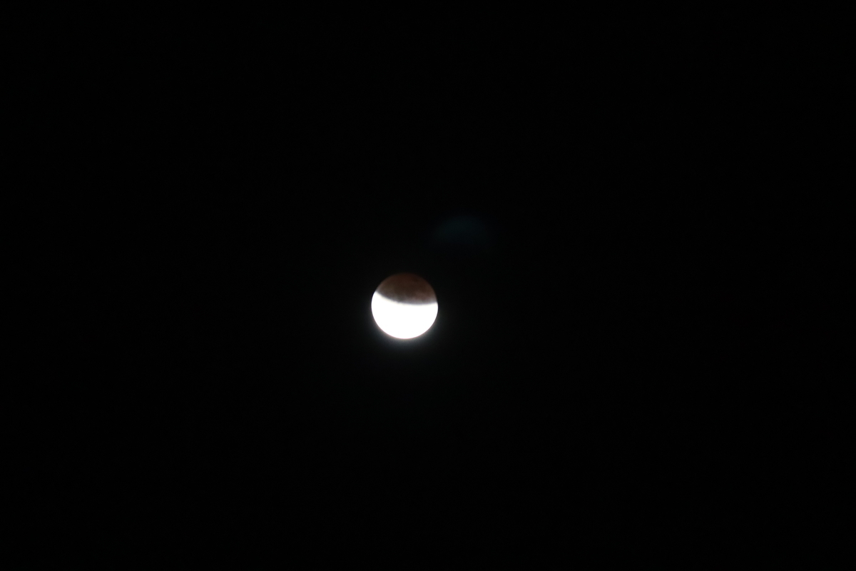 f:id:tomato_1:20211120040248j:plain