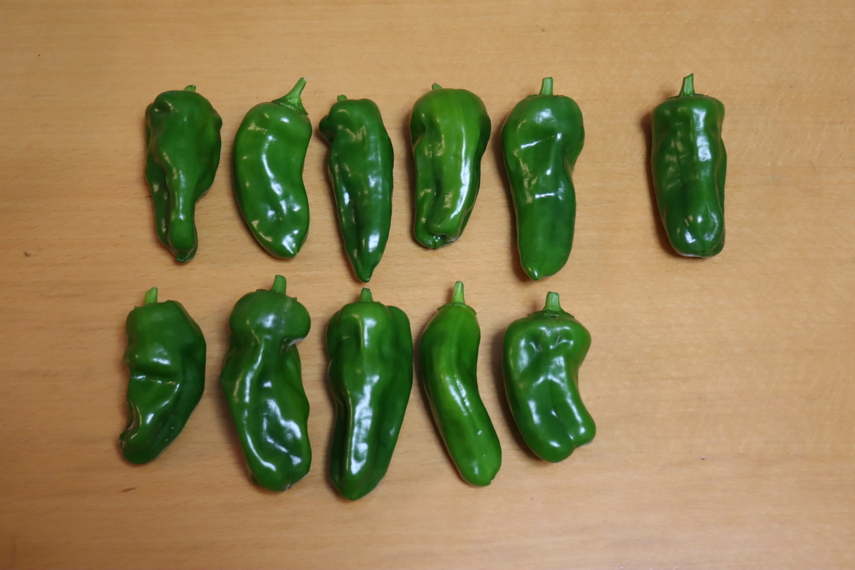 f:id:tomato_1:20211129034539j:plain