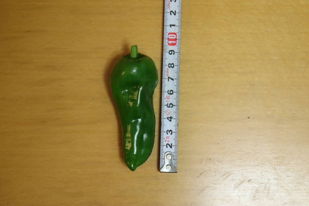 f:id:tomato_1:20211129034548j:plain