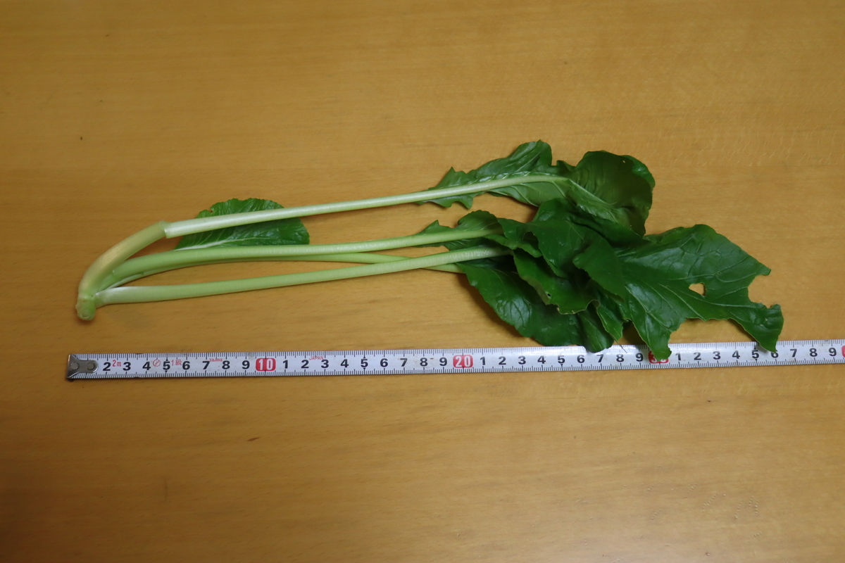 f:id:tomato_1:20211202034951j:plain
