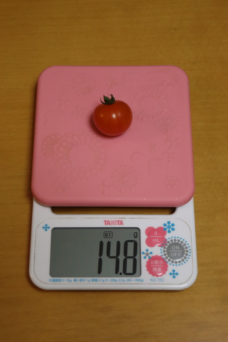 f:id:tomato_1:20211209035107j:plain